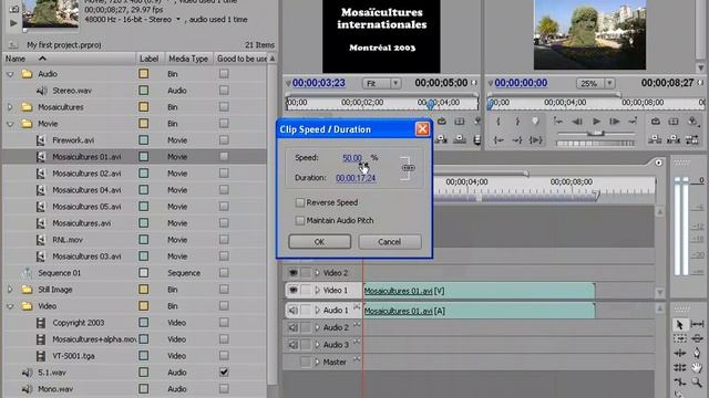 Working with the Project panel in Adobe Premiere Pro 2.0 - The context sensitive menu.mov смотреть онлайн