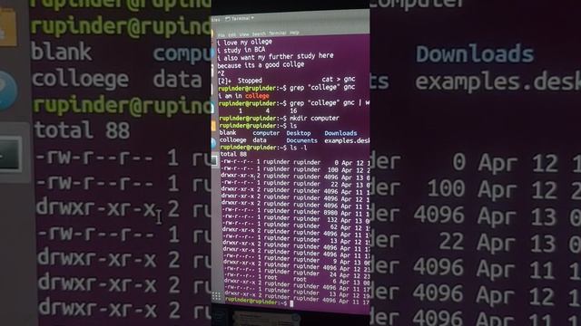 Linux- file and directories management commands. Part 2 смотреть онлайн