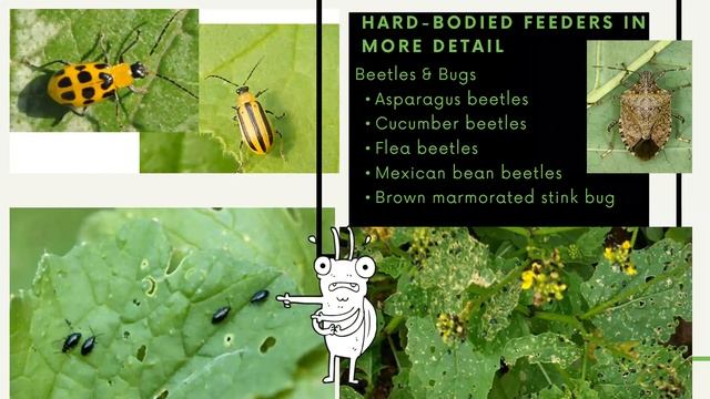 Planting with Purpose - Garden Pests: Part 1 смотреть онлайн