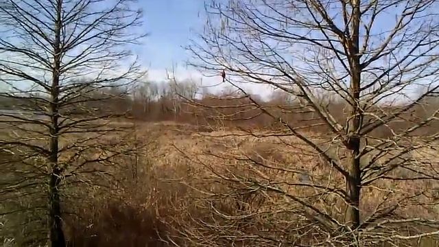 Spring Valley Marsh, Ohio смотреть онлайн