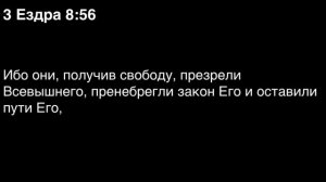 День 278. Библия за год. С митрополитом Иларионом.