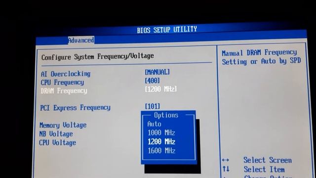 DRAM frequency asus P5QL-EM смотреть онлайн