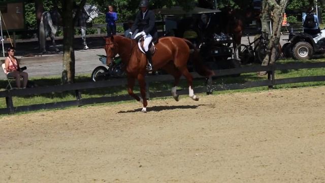 Most of All shown by Harold Chopping in Devoucoux Htr Prix HITS Culpeper 2016July09 смотреть онлайн
