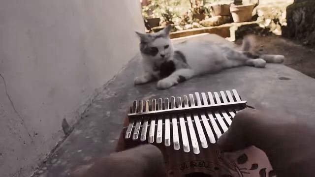 Sadness and Sorrow I Kalimba Cover смотреть онлайн