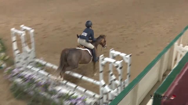 Berkleigh Blackport & Farmore Angelina Ballerina - Beg Chld Htr - Ledges B Mar 2019 смотреть онлайн