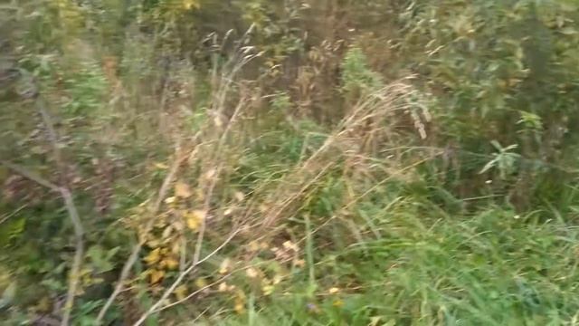 Лейка на пассате смотреть онлайн