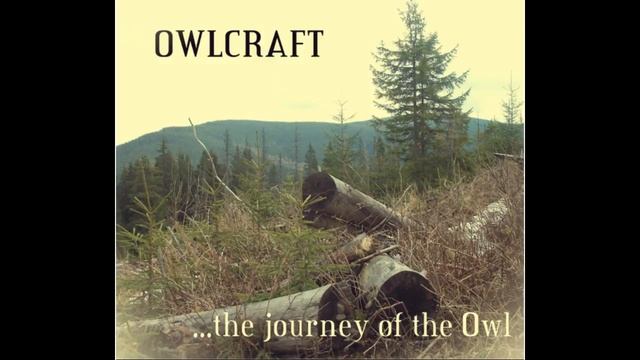 Owlcraft Brother смотреть онлайн