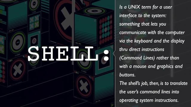 What is a Shell? смотреть онлайн