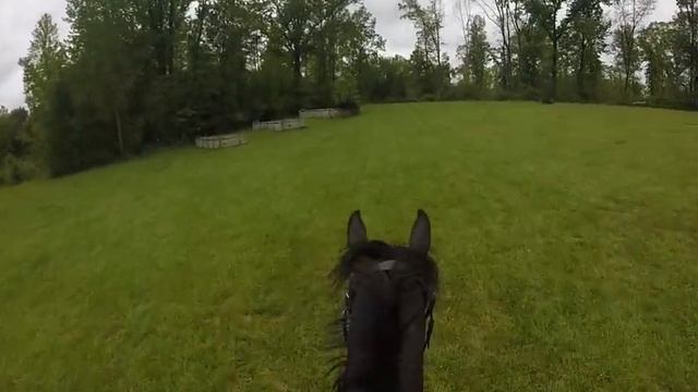 Bentley cross country schooling at Win Green farm. Little banks and logs. смотреть онлайн