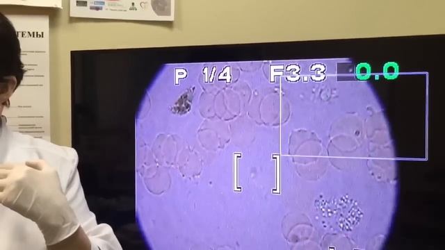 Операционные Системы: Профессиональный Курс