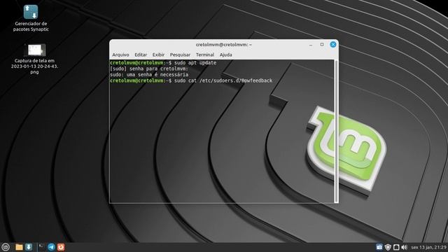 Removendo asteriscos na hora de digitar senhas no terminal Mint смотреть онлайн