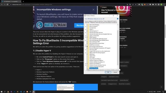 Fix Bluestacks 5 Incompatible Windows Settings Error смотреть онлайн