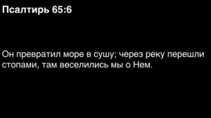 День 157. Библия за год. С митрополитом Иларионом.