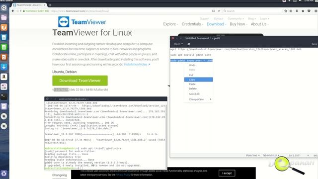 Cum se instalează TeamViewer în Ubuntu 16 04 / 17 04 смотреть онлайн