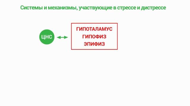 Видеоинтервью проекта «За кулисами красоты в Санкт-Петербурге» — выпуск 2 смотреть онлайн