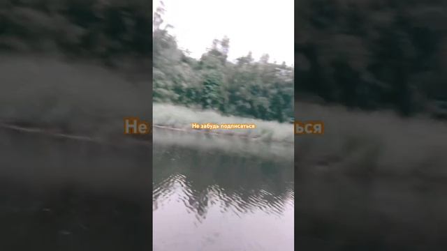 Ново Ладожский канал. #рыбалка2020 Рыбалка