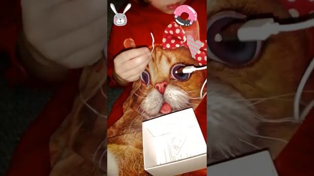 #Викуся #пампуся(##покупка с #джум-часики) смотреть онлайн