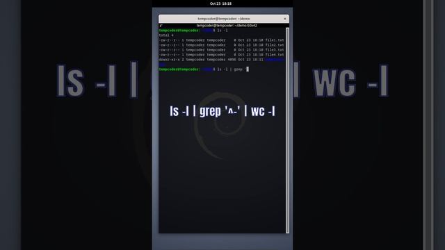 Bash Count Files in a Directory Sysadmin Quick Trick #sysadmin #bash #linux #beginner смотреть онлайн