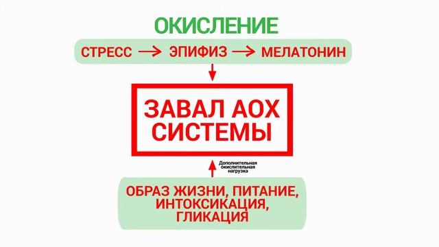 Видеоинтервью проекта «За кулисами красоты в Санкт-Петербурге» — выпуск 3 смотреть онлайн