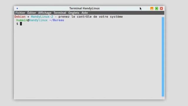 HandyLinux 2.0 - Boot and Desktop смотреть онлайн