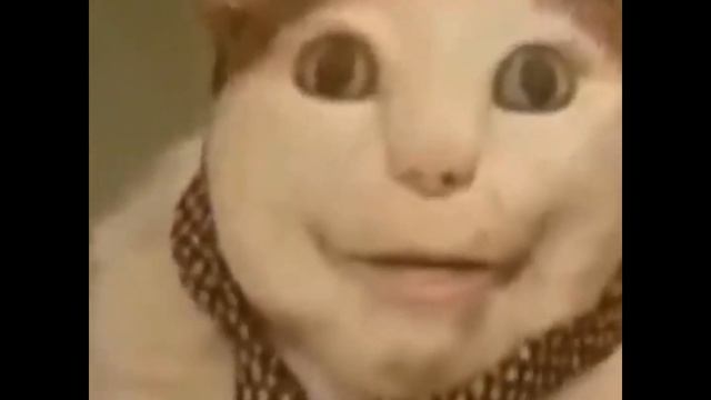 Бу Испугался Не Бойся