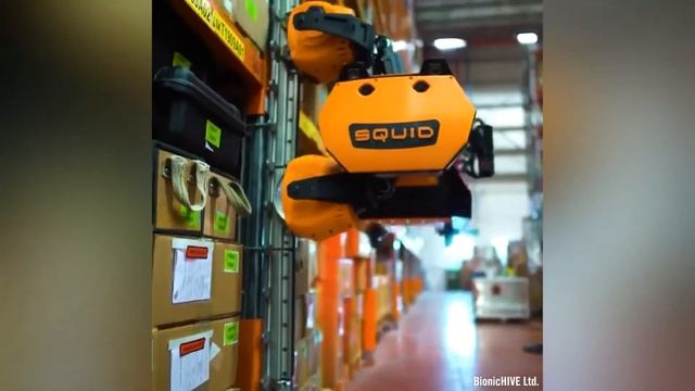 Теперь грузчики не нужны, есть робот Squid смотреть онлайн
