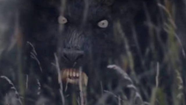 DOGMAN STALKED & TORMENTED ONE MAN FOR 50 YRS - 72 YR OLD MAN'S EXPERIENCES W/ DOGMAN смотреть онлайн