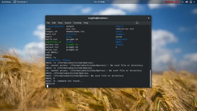 Tutorial Pemograman Shell pada Fedora Part 3 смотреть онлайн