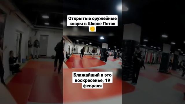 Ножи, мачете, палки, шесты, копья, мечи. Открытые оружейные ковры в Потоке #shorts
