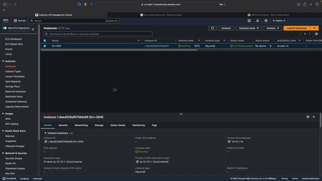 Demonstração do Systems Manager Session Manager e Run Command смотреть онлайн