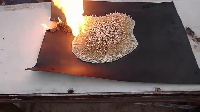 Apple Logo Amazing Domino With White matchsticks - Experiment смотреть онлайн