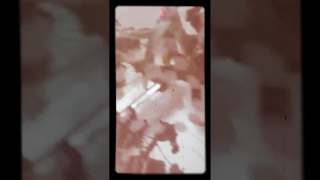 24 мая 2020 г. смотреть онлайн