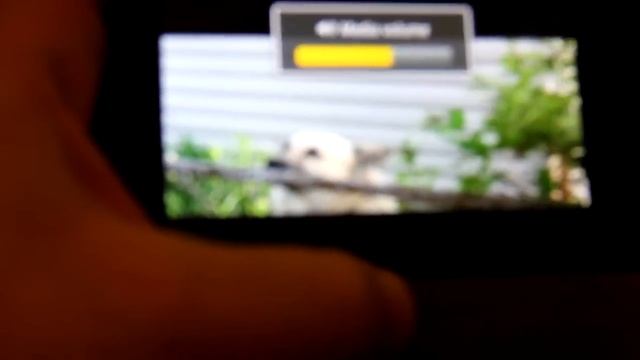 Guard Dog Android App - Droid Alarm, Movement Sensor смотреть онлайн