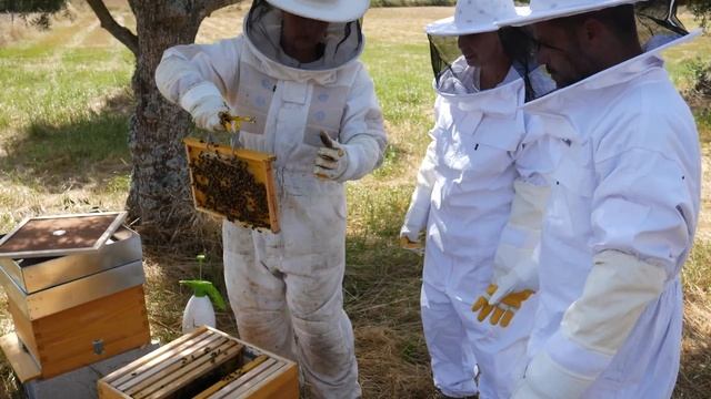 Portugal Farm Life - 37 - Kayaks and Bees смотреть онлайн