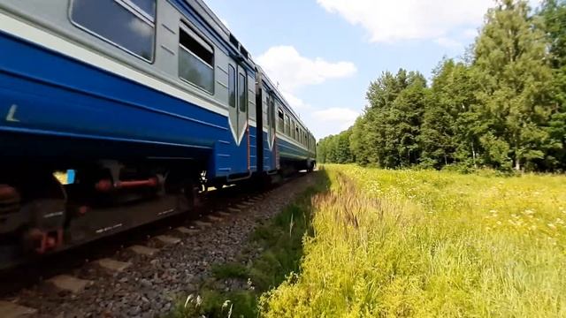 Дизель-поезд ДР1а-132 на перегоне Фаличи-Старые Дороги / Diesel train DR1a-132 смотреть онлайн