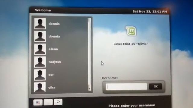 report Linux Mint 15 seizure at startup смотреть онлайн