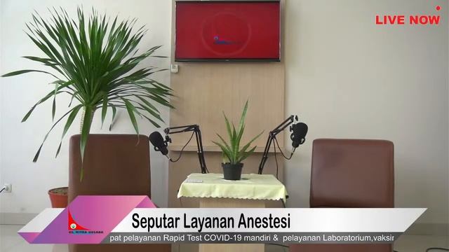 Tutorial Debian, Bola Live Stream