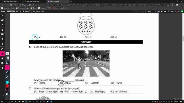 Grade 2 National Science Olympiad  Question Explanations