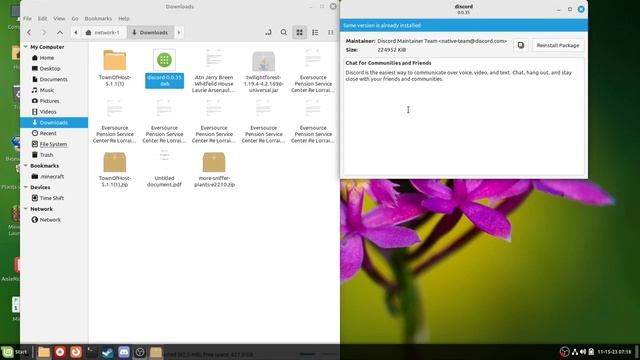Linux Tutorial #1 Updating Discord Method 2: Package manager install. смотреть онлайн