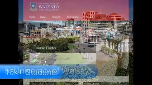 Best Universities in New Zealand смотреть онлайн