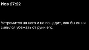 День 146. Библия за год. С митрополитом Иларионом.