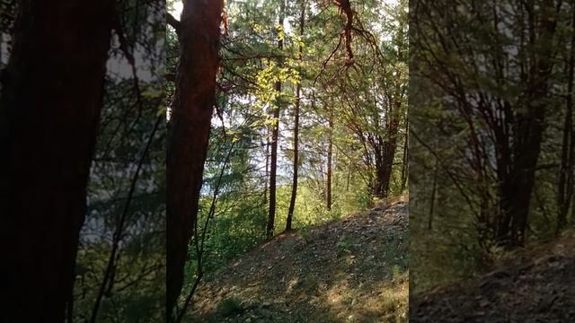Природа и песня!!! смотреть онлайн