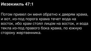 День 236. Библия за год. С митрополитом Иларионом.