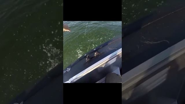 Да что вы знаете об обидных ситуациях) #снастиздрасьте смотреть онлайн