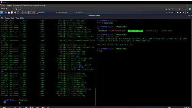 how to view the logs in Linux смотреть онлайн