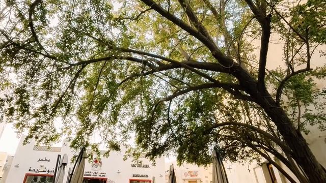 Iphone 12 pro max sample photo смотреть онлайн