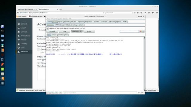 How to configuration of Burp Suite proxy in Kali Linux смотреть онлайн