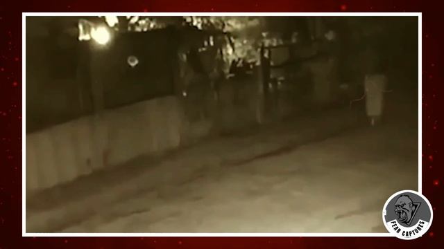DISTURBING Trail Cam Footage That Will Leave You SCARED смотреть онлайн