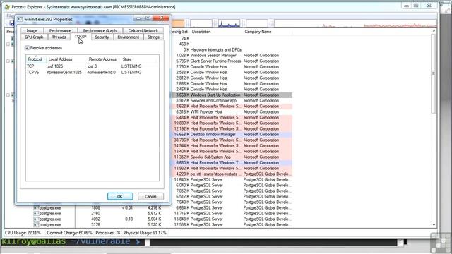 More Malware Analysis смотреть онлайн