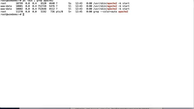 Installing Apache Web Server on Ubuntu смотреть онлайн